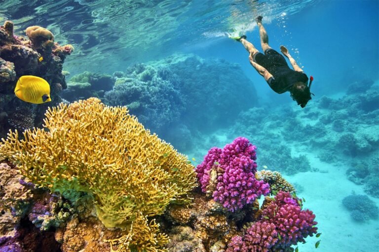 Diving