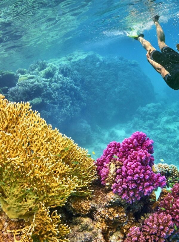 Diving & Snorkeling