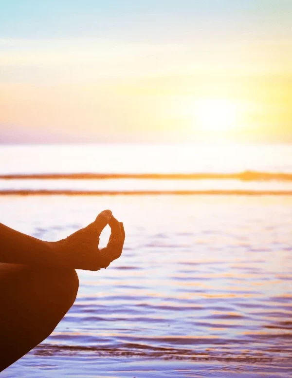Wellness & Relaxation