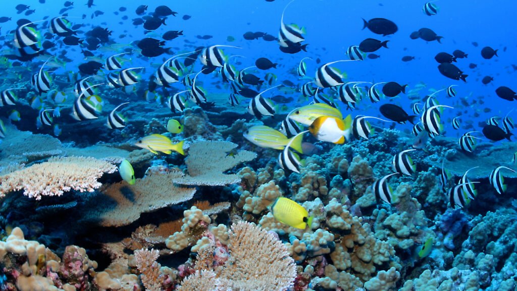 Hurghada Red Sea Retreat