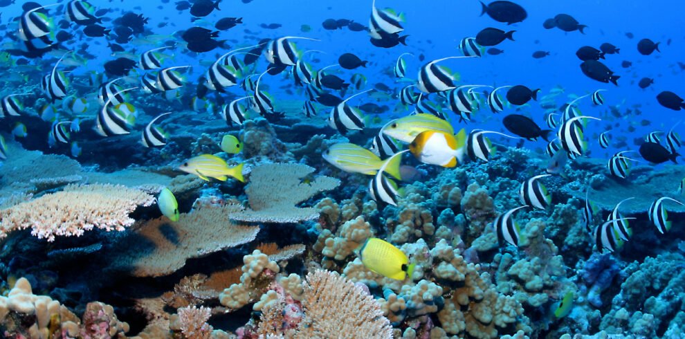 Hurghada Red Sea Retreat