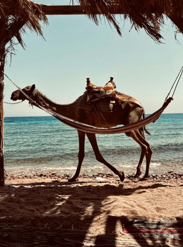beach experiences